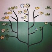 Evoluzione nei fringuelli