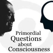 Primordial questions about consciousness