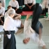 Seminario di Aikido Yuishinkai 2012 - Galleria