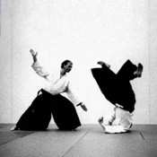 Aikido a Bologna