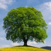 Oasi del silenzio, un luogo dal quale ripartire