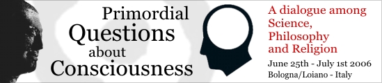 Primordial Questions about Consciousness