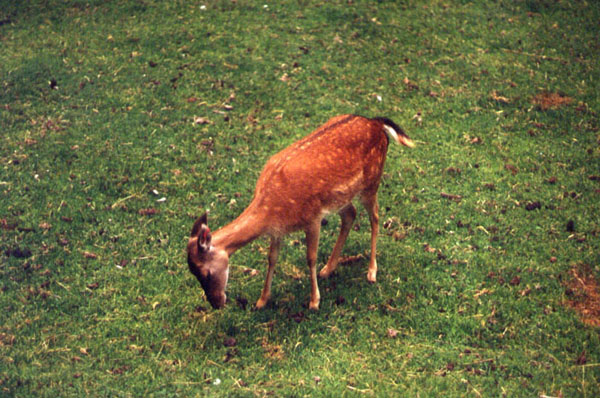 giangiorgio_pasqualotto_15