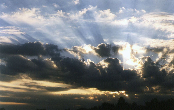 giuliano_preparata_20