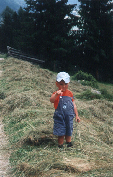 stephen_batchelor_20