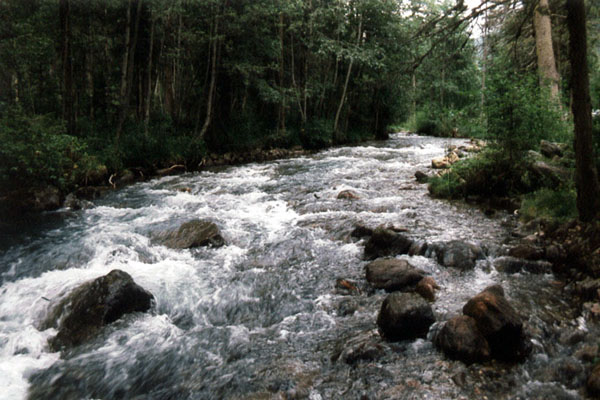 emanuele_severino_10