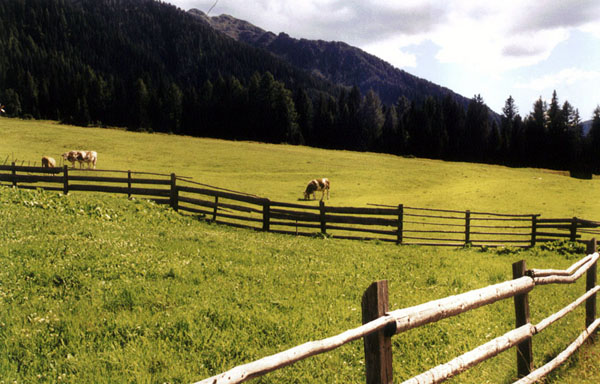 paolo_de_bernardis_15