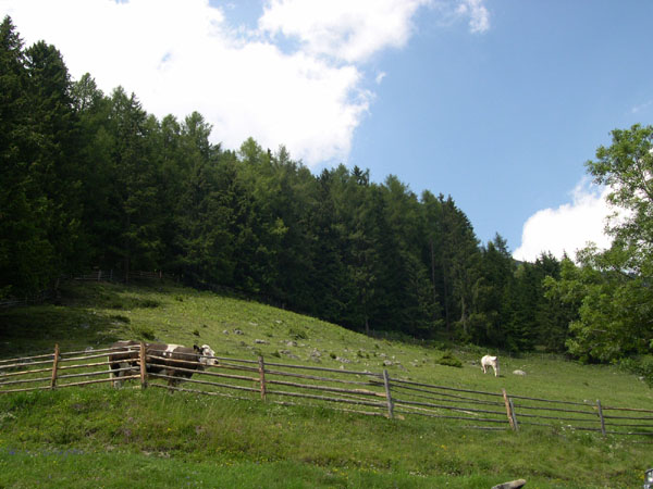 douglas_hofstadter_118