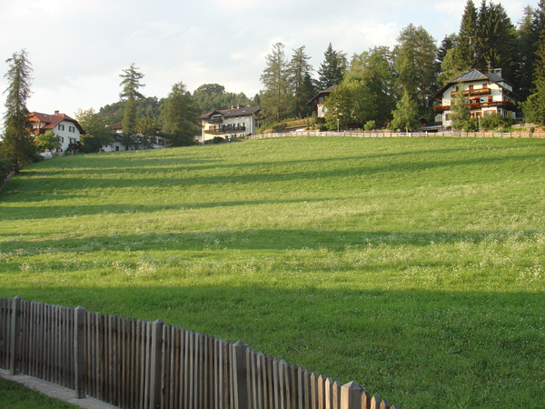 vittorio_gallese_098