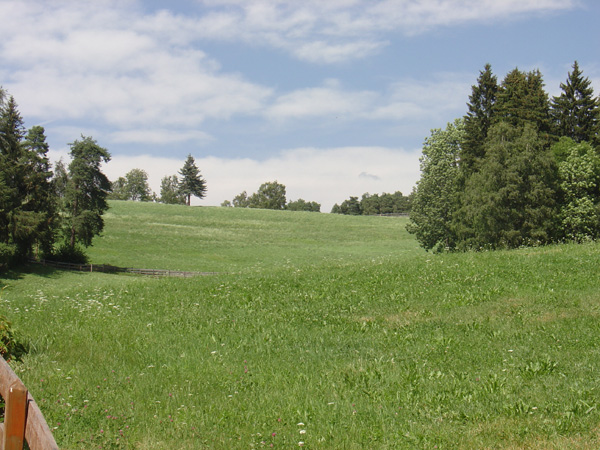 vittorio_gallese_101