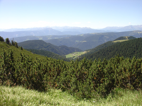 vittorio_gallese_103