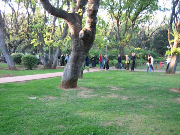 piergiorgio_odifreddi_068