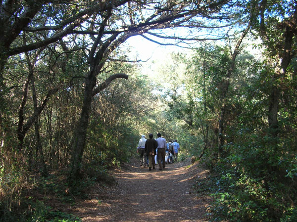 piergiorgio_odifreddi_077