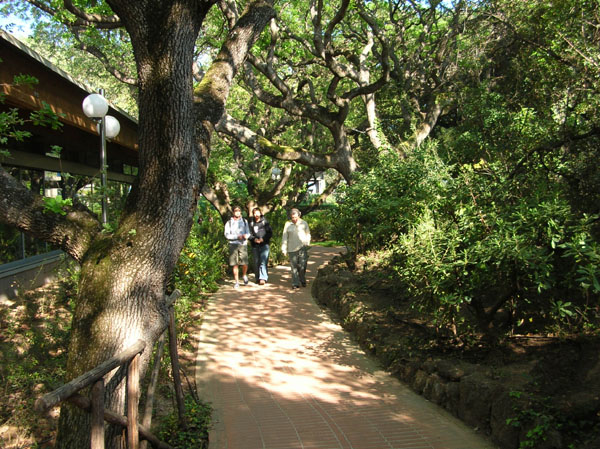 piergiorgio_odifreddi_088