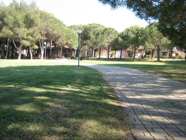 piergiorgio_odifreddi_110