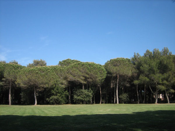 piergiorgio_odifreddi_112