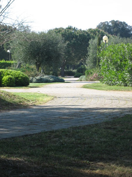 piergiorgio_odifreddi_113