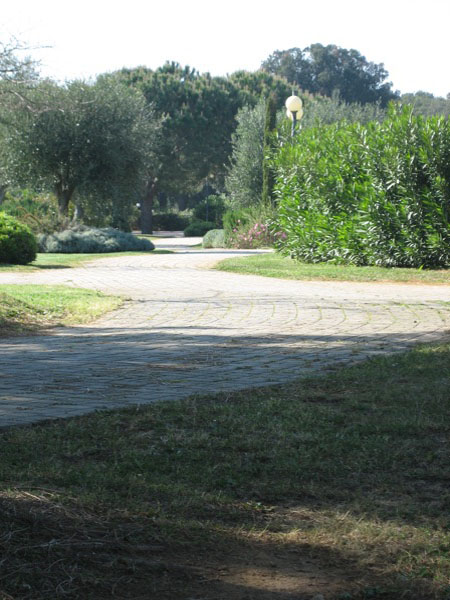 piergiorgio_odifreddi_114