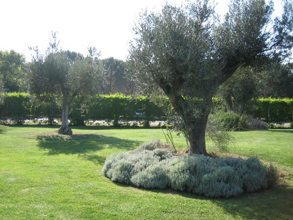 piergiorgio_odifreddi_116