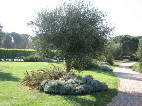 piergiorgio_odifreddi_118