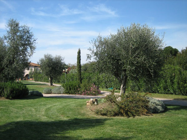 piergiorgio_odifreddi_119