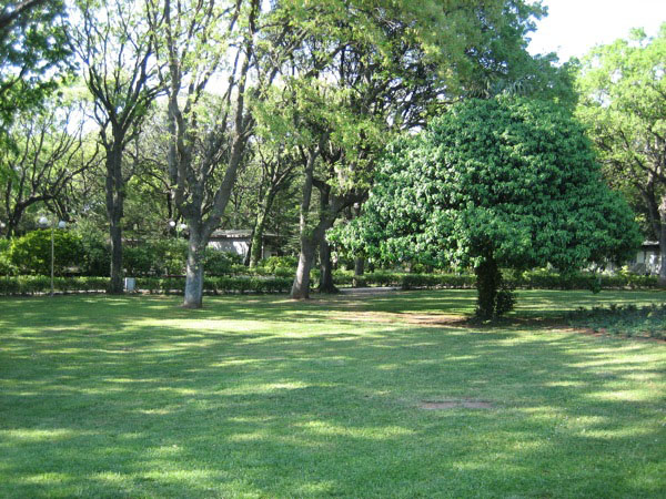 piergiorgio_odifreddi_122