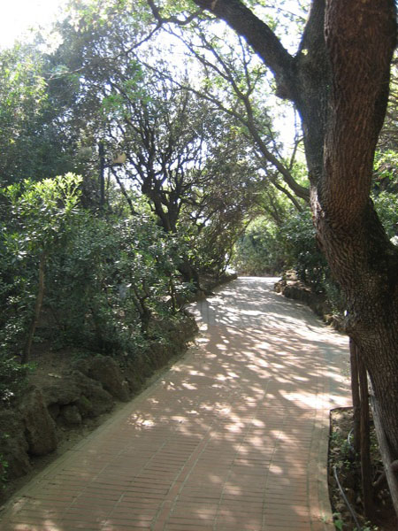 piergiorgio_odifreddi_125