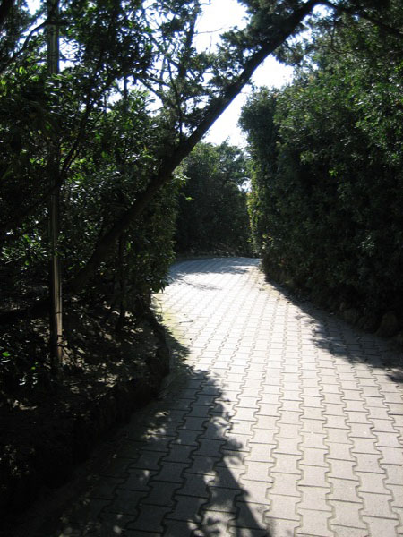 piergiorgio_odifreddi_126