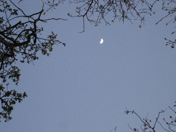 piergiorgio_odifreddi_127