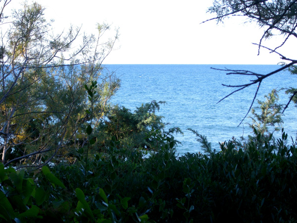 luigi_perissinotto_065