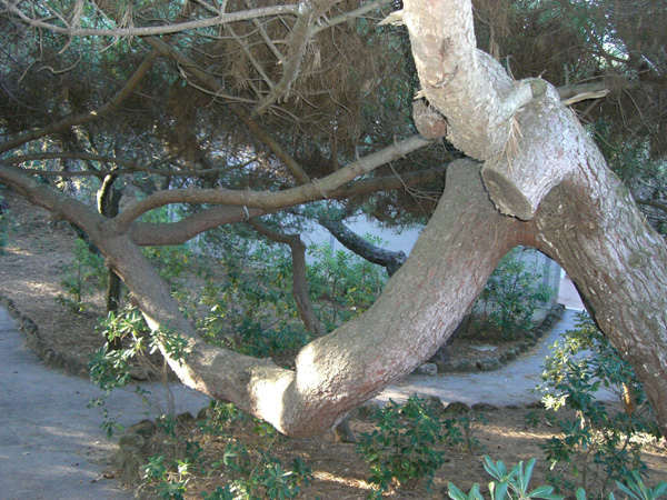 luigi_perissinotto_066