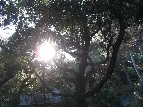 luigi_perissinotto_067