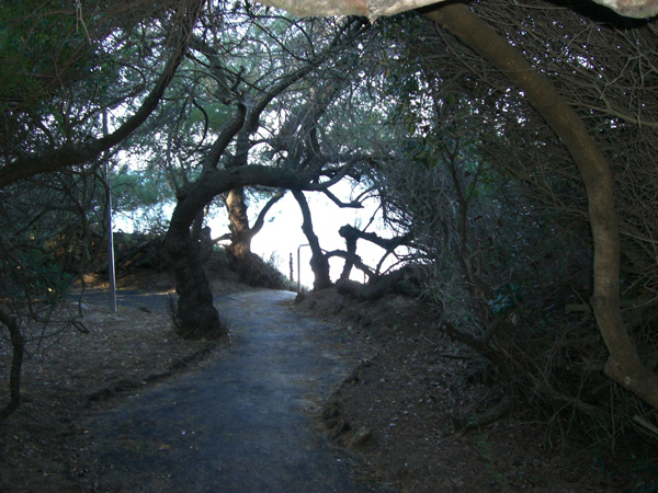 luigi_perissinotto_068