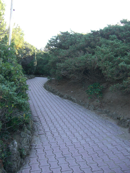 luigi_perissinotto_075