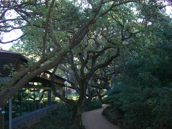 luigi_perissinotto_077