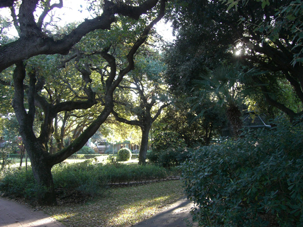 luigi_perissinotto_078