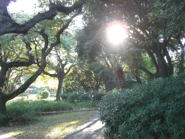 luigi_perissinotto_079