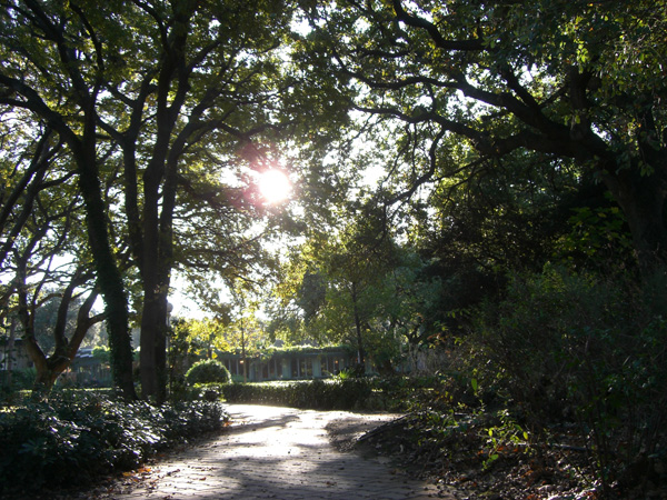 luigi_perissinotto_082