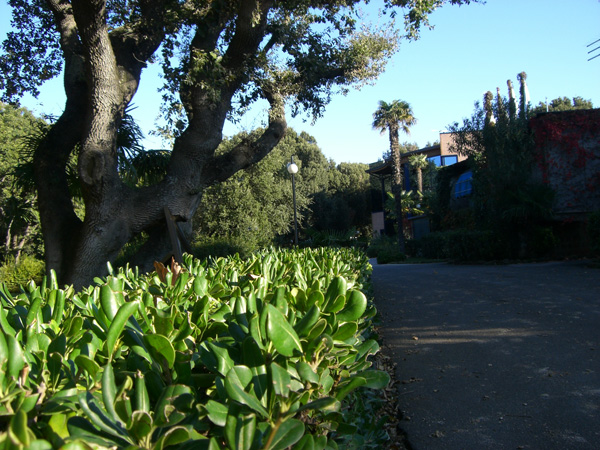 luigi_perissinotto_084