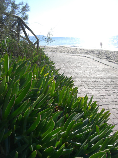 luigi_perissinotto_091