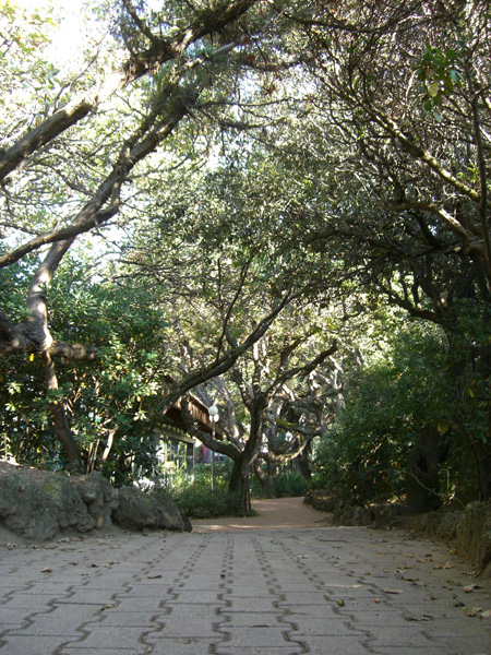 luigi_perissinotto_094