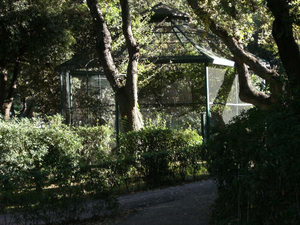 luigi_perissinotto_095