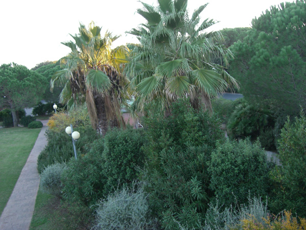 luigi_perissinotto_120