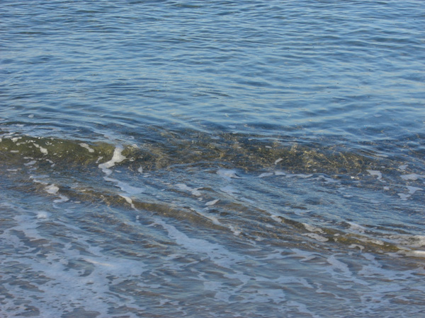 luigi_perissinotto_124