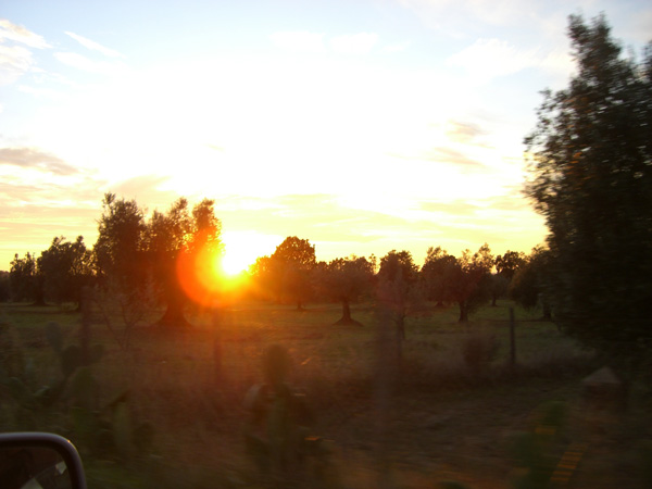 luigi_perissinotto_127