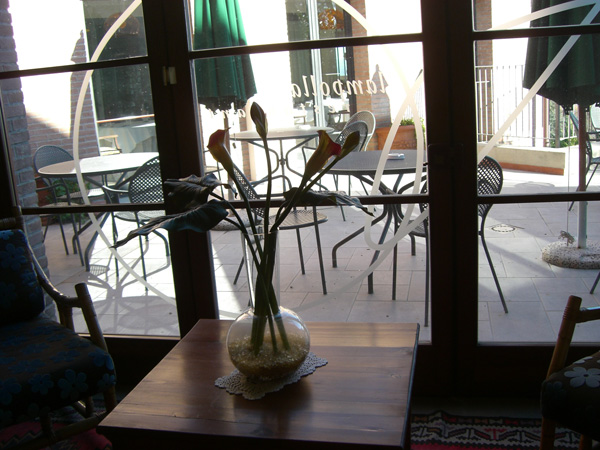 edoardo_boncinelli_037