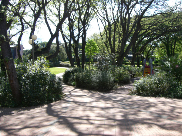 vittorino_andreoli_016