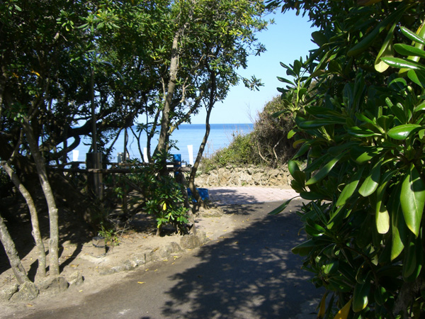 vittorino_andreoli_017