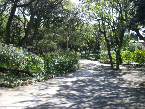 vittorino_andreoli_022