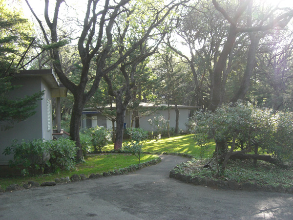 vittorino_andreoli_023